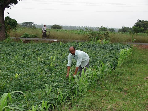 Union Budget 2020-21: Big talk on natural farming but no support
