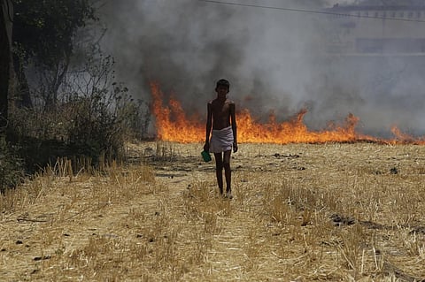 Over 3 lakh pregnancy losses every year linked to polluted air in South Asia
