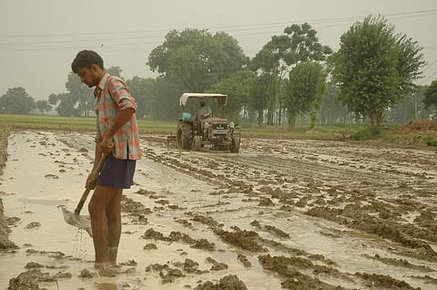 Can farmers afford to invest large sums of money on agriculture without any profits? (Credit: Agnimirh Basu/CSE)