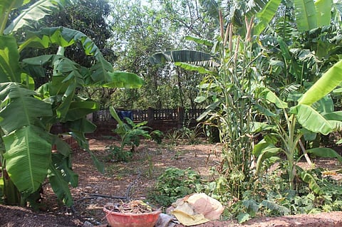 Vengurla in Sindhurdurg district, Maharashtra has achieved 95 per cent waste segregation at source. Credit: Author