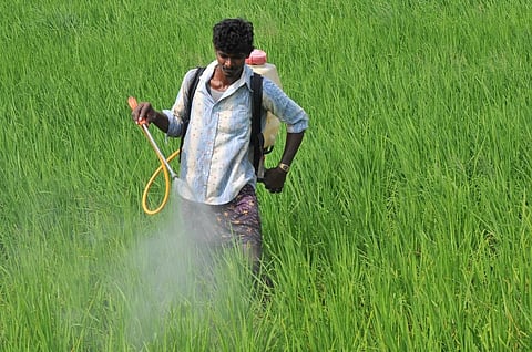 Most of the farmers in the country are not adequately literate and depend on the government agencies for safe use of pesticide. Credit: Meeta Ahlawat / CSE