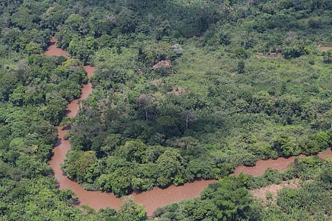 The Congo rainforest is second in size only to the Amazon (Credit: MONUSCO/Myriam Asmani)