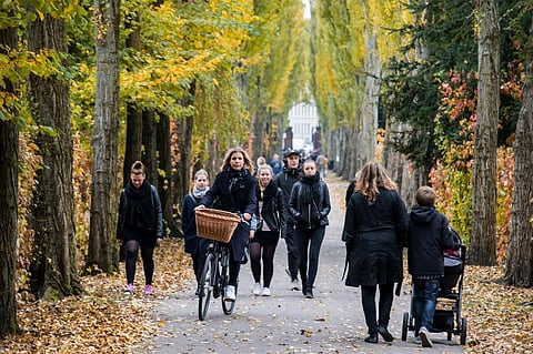 Past research has shown positive association between percentage of green space in living environment and perceived general health of residents. Credit: Kristoffer Trolle / Flickr
