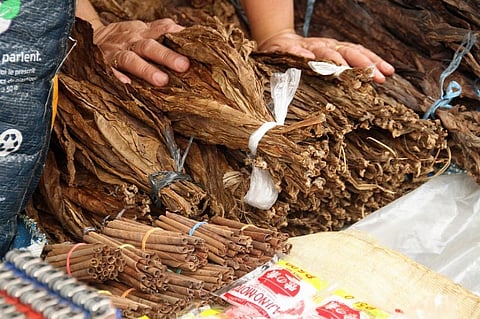 Tobacco affects the health and well-being of the people who grow it and the environment where it is grown, often with devastating consequences. Credit: Pixabay