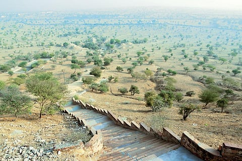 The sacred grove,
or oran, at Mukam
village of Bikaner
district is spread
over 290 hectares.
It is being looked
after by the Akhil
Bhartiya Bishnoi
Mahasabha