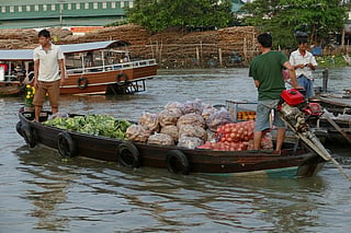 Study suggests that climate change is the dominant factor in the decisions of 14.5% of migrants leaving the Mekong Delta. Credit: Pixabay