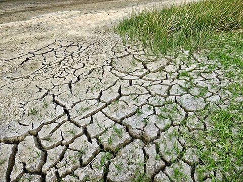 What southern Africa can learn from other countries about adapting to drought