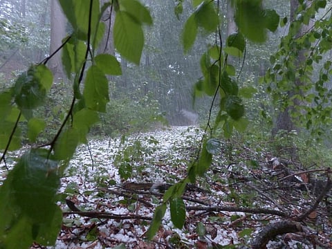 The districts experienced an unexpected hailstorm accompanied by hailstones weighing as much as 34 grams. Credit: Max Pixel
