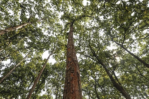 Which way ahead for biodiversity conservation? Answer may lie in communities