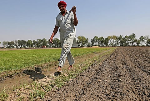 The need for immediate strategies is to save the Bharatiya Janata Party-ruled agrarian states, Madhya Pradesh and Rajasthan, from losing in the upcoming elections. Credit:Vikas Choudhary/CSE