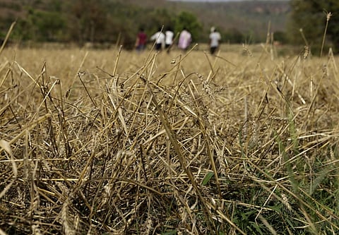 Climate change is one of the major reasons that farmers are losing a good part of their income. Credit: Vikas Choudhary
