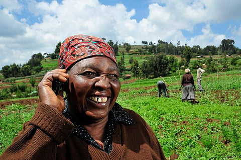 Developers’ failure to look at the context in which farmers use these services means many are underutilized. Credit: CIAT/Flickr