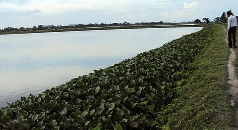 We need new solutions in managing water resources so as to meet emerging challenges to water security. Credit: Mudit Mishra