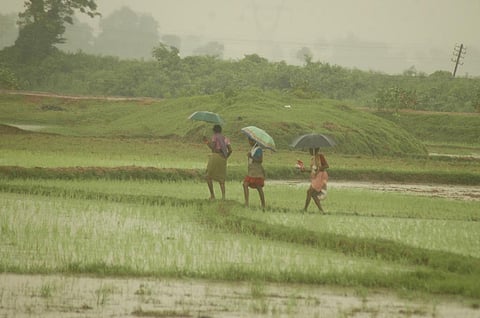 IFS is a farming practice meant for all-round development of agriculture. Credit: Agnimirh Basu