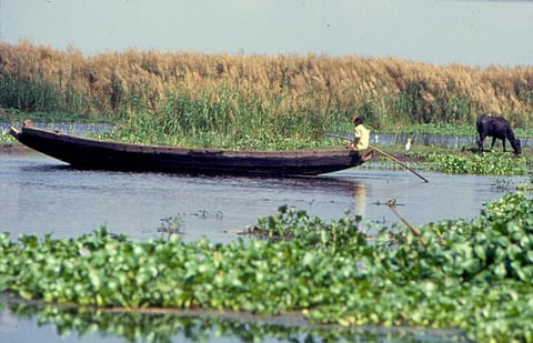 Why UNESCO's 'natural solutions' to water problems won't work in Africa
