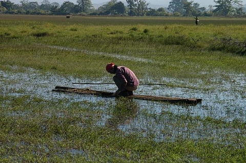 The solution lies in the way we use resources. Credit: Wikimedia Commons