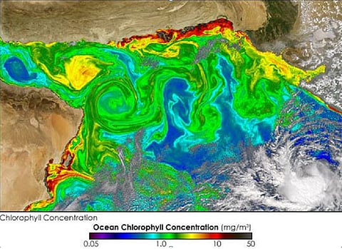 Microscopic algae can affect the depth of penetration of solar radiation into the ocean and influence ocean temperatures. Credit: ISC