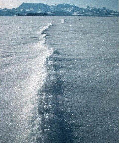 Surficial strand cracks at the Rutford Glacier at its grounding line. Credit: David Vaughan (British Antarctic Survey)