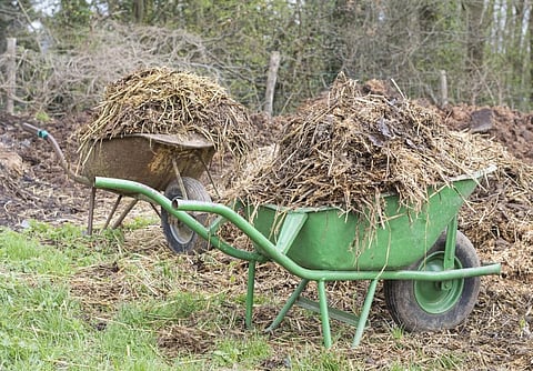 In the Indian context, where organised farm waste management methods are missing, approaches such as biogas generation could be introduced as initial measures over land application. Credit: Pixabay/sabinevanerp