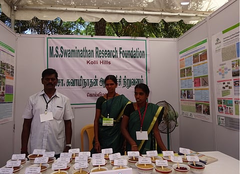 There is isn't enough research on processed or value added products of millets, said scientists. Credit: Author