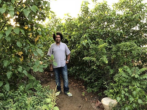 Shahzad Qureshi standing inside his urban forest. Credit: Zofeen T Ebrahim