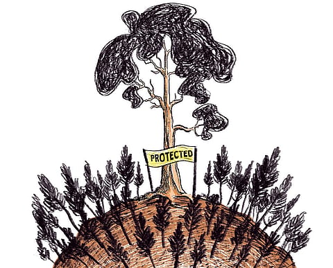 Illustration: Tarique Aziz