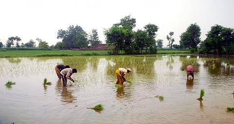 Pakistan’s populace, such as these farmers in Gujranwala, are critically dependent on water, but there is no water policy. Credit: Aftab Rizvi