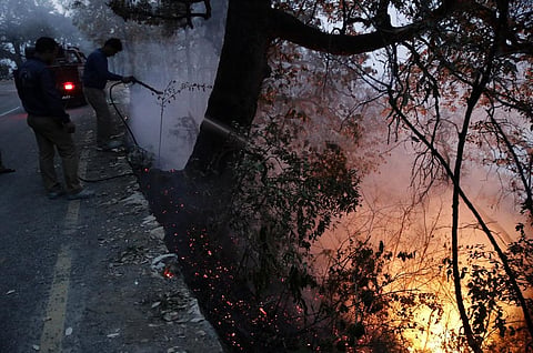 Around 898 hectares of forest land has been engulfed by forest fire in Uttarakhand with 542 fire incidents reported across the hill state till April 28. Credit: Vikas Choudhary