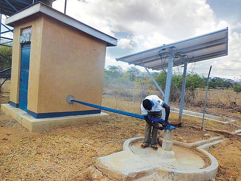 Farmers in Laboktom village of Uganda's Amudat district irrigate the farm using solar-powered pumps (Credit: Lominda Afedraru)