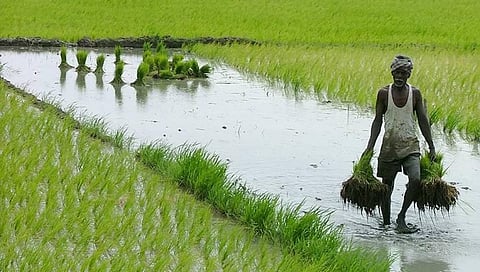 The study sampled nearly 40,000 farms and 1,600 processors across 119 countries. Credit: Wikimedia Commons