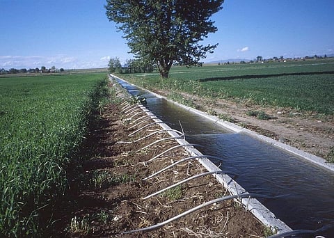 Globally, the area equipped for irrigation almost doubled from 164 million hectares to 324 million hectares in 50 years. Credit: Wikimedia Commons