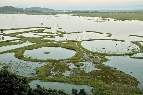 लोकटक झील और तैरती फूमदियां