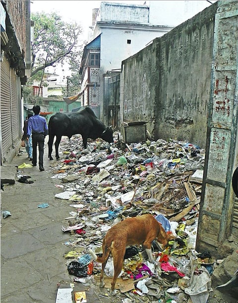 Plastic waste at a garbage dump in Varanasi. Credit: Flickr