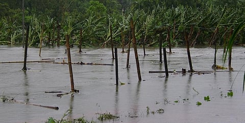 Credit: Wikimedia Commons