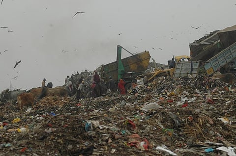 Most recyclable waste ends up in a dump yard due to the lack of efficient waste management (Credit: Agnimirh Basu/CSE)