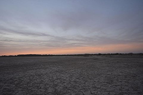The sun sets over the Banni Grasslands in Kutch Credit: Wikimedia Commons