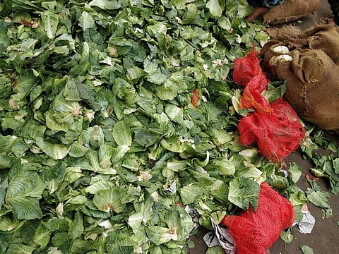 Reducing food waste is one way by which citizens can reduce Green House Gas emissions, says the IPCC Report Credit: Getty Images
