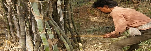Harvesting and transporting the bamboo had cost the villagers around Rs 1.5 lakh the first time. Credit: Ishan Kukreti