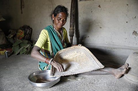 ग्राउंड रिपोर्ट: बीज उत्पादक किसान भी हो रहे हैं जलवायु परिवर्तन का शिकार