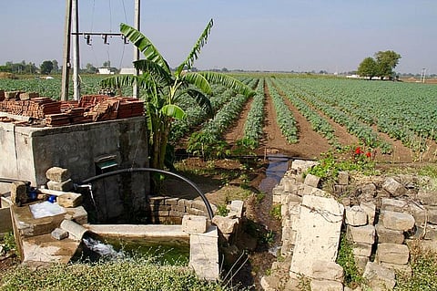 A tubewell near a field in Gujarat. Credit: Wikimedia Commons