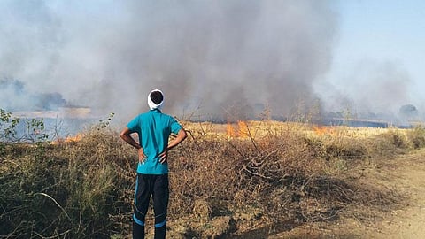 The report suggests including energy, agriculture and urban management sectors at the core of air quality improvement efforts. Credit: Abhimanyu Singh