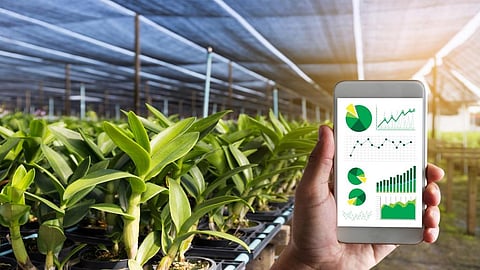 Smart agriculture practices can help reduce greenhouse gas emissions. Credit: Getty Images