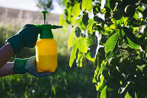 Over the years, overuse of pesticides is posing a major hazard to human health and environment. Credit: Getty Images