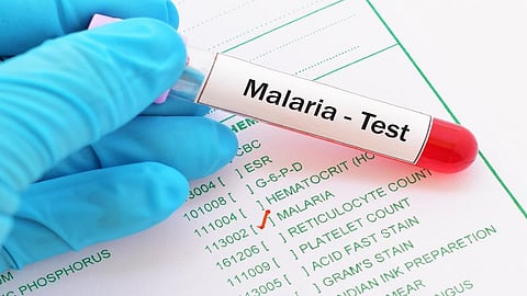 In 2017, there were an estimated 219 million cases of malaria, compared to 217 million the year before. Credit: Getty Images