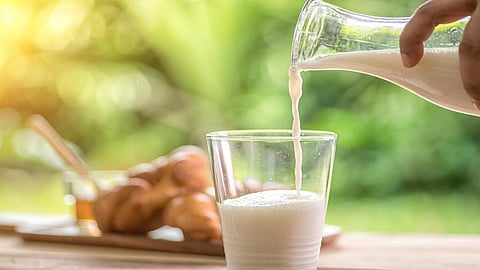 In India, 68% of milk is adulterated, say reports. Credit: Getty Images