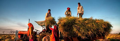 Farmers are in reality the victims of a flawed economic design. Credit: Getty Images