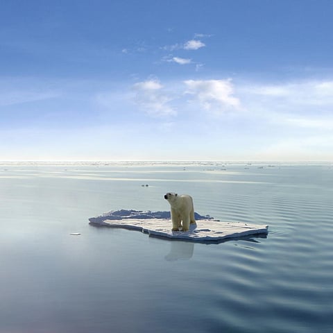 Study says that by 2030 the climate would be similar to that of mid-Pliocene, which dates back to more 3 million years. Credit: Getty Images