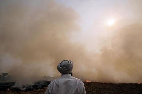 After SC order, CPCB uploads studies on impacts of pollution on health