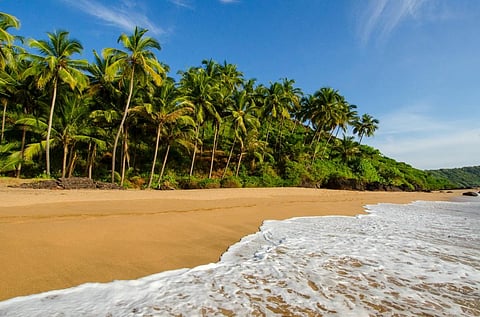 Govt's reason for CRZ amendments: 'See and enjoy beauty of mighty seas'