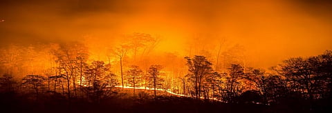 Representational Photo. Credit: Getty Images
